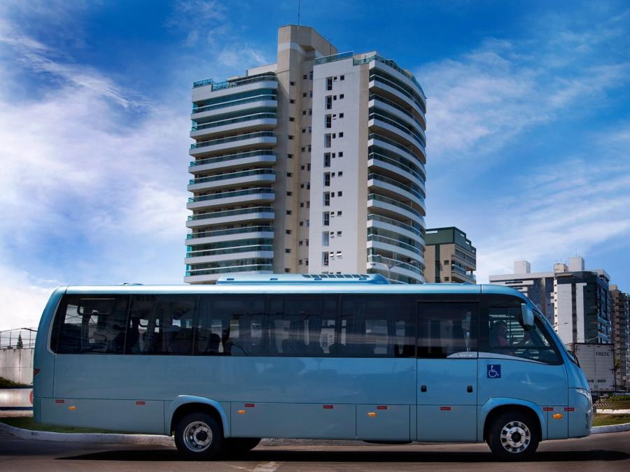  Volare W9 Limousine Minibus 2011 года  (фото 6 из 9)